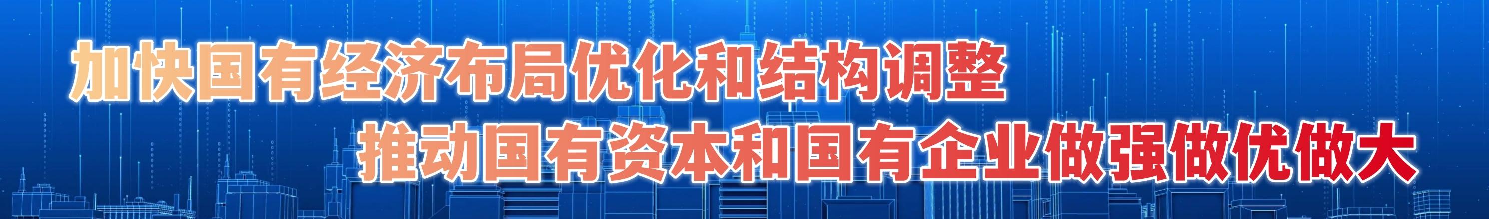 加快國有經濟布局優化和結構調整，推動國有資本和國有企業做強做優做大